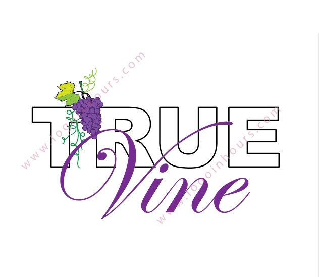 Logo Designer Chicago