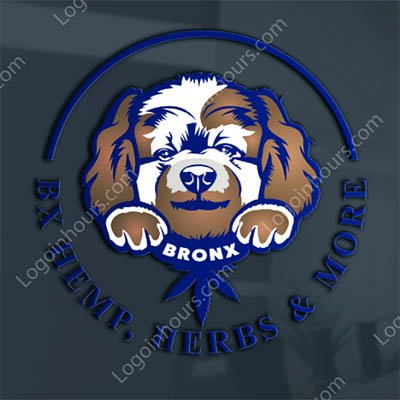 Custom Logo Design